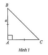 Hình minh họa: Lời giải