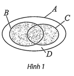 Hình minh họa: Lời giải