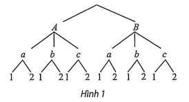 Hình minh họa: Lời giải