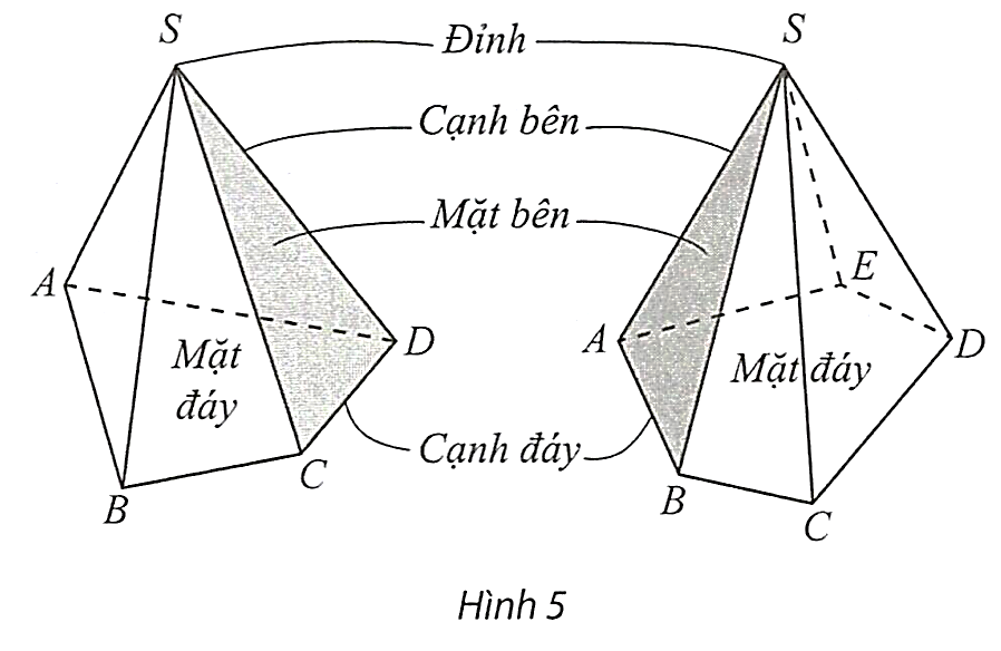 Hình minh họa: Hình chóp